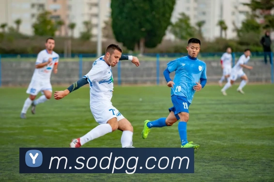 pg电子服务体系